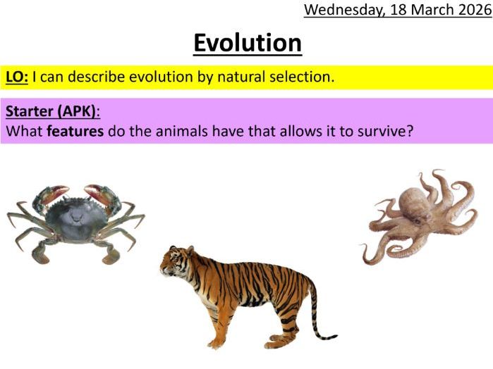 KS3 - Evolution