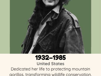 Her Story - Inspirational Women Display:  Environment & Conservation