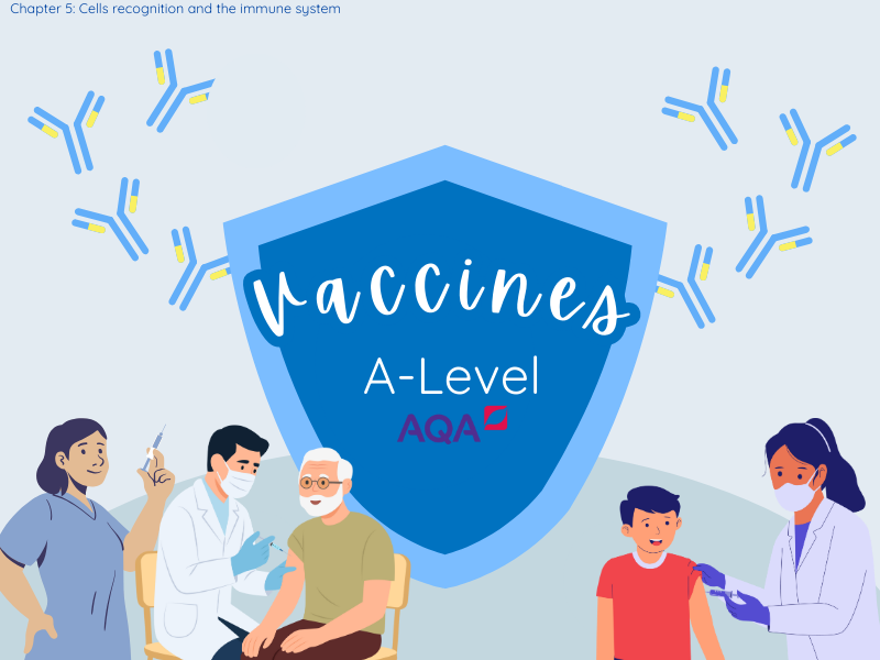 Vaccines - AQA AS-Level Biology (Specification 3.2.4)