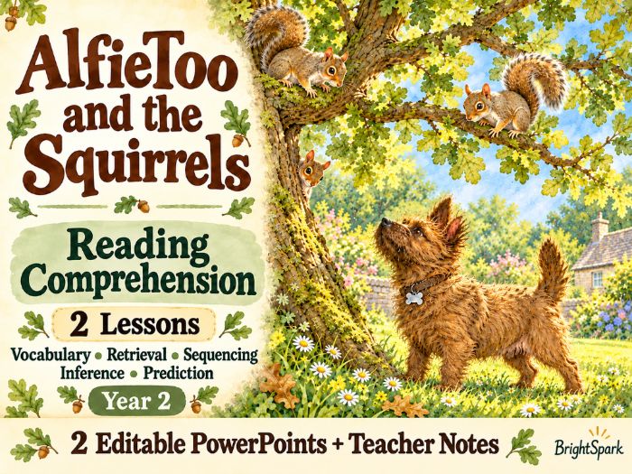 KS1 Fiction Reading Comprehension lessons