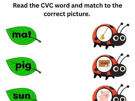 Phase 2 Phonics – CVC Word Match (Ladybirds & leaf) worksheet