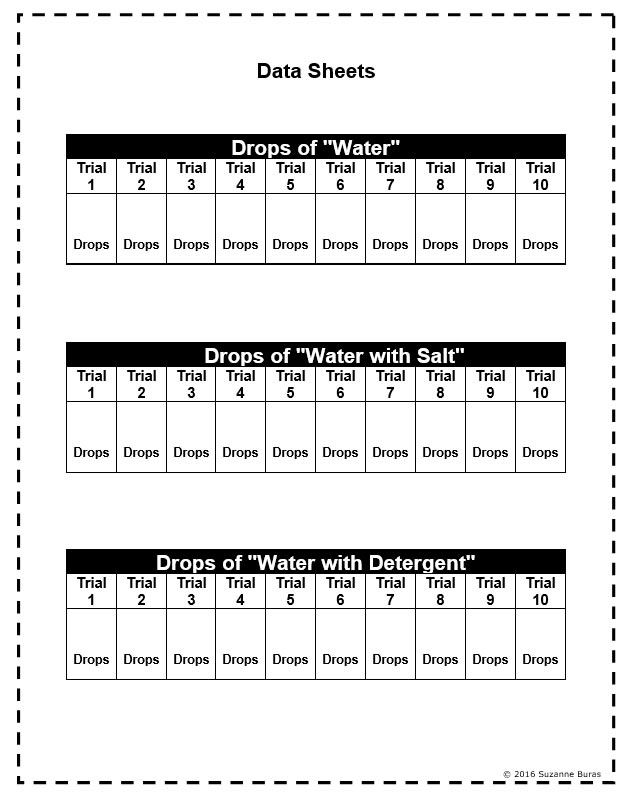 Surface Tension Lab A "Mini" Science Fair Project Teaching Resources