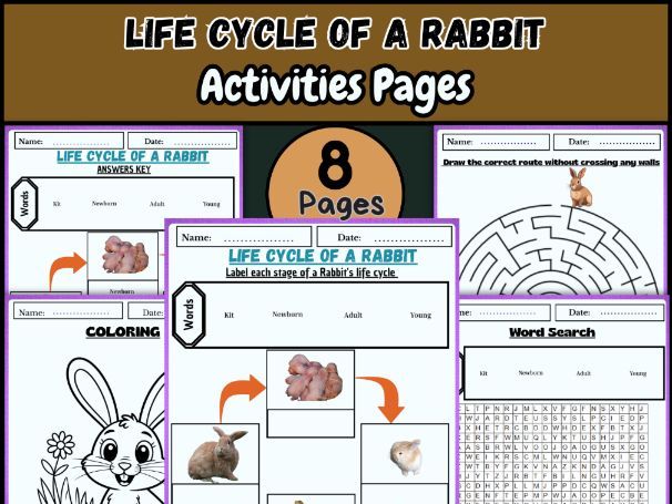 "Life Cycle of a Rabbit | Labeling, Coloring, Word Search & Activities"