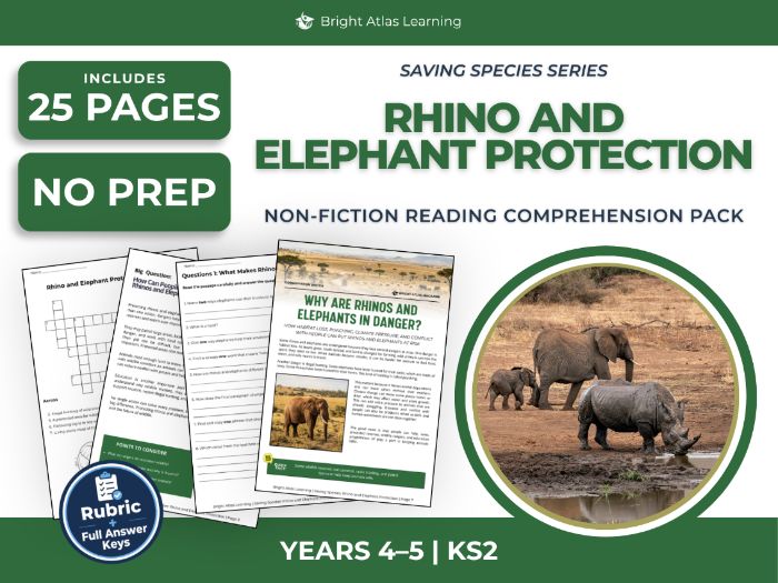 Rhinos and Elephants Reading Comprehension | KS2 Years 4 & 5