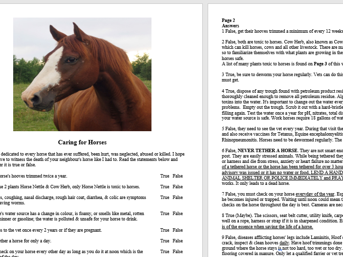 caring for horses worksheet teaching resources