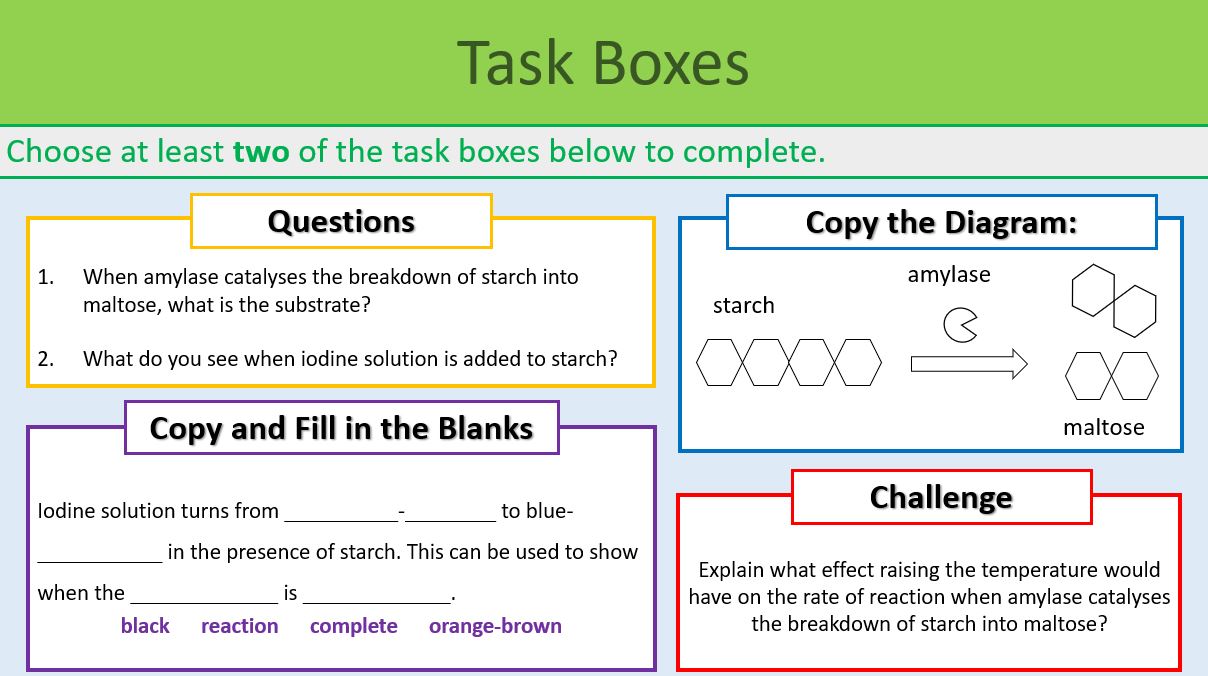 Enzymes Practical Revision GCSE Biology Teaching Resources