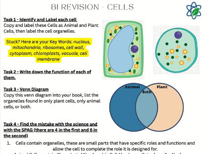 B1 Revision / Cells & Transport Lesson/Worksheet With Answers/GCSE/AQA/Combined Science/Biology