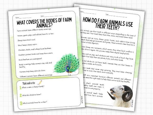 Farm Animal Science Reading Comprehension (Nonfiction, 2 Levels) | ESL KS2 Science