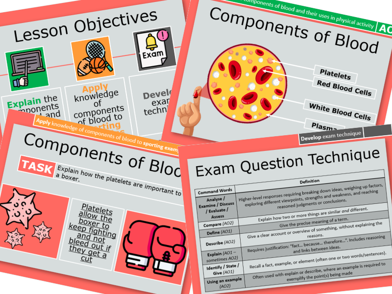 11. Components of Blood & Exam Technique