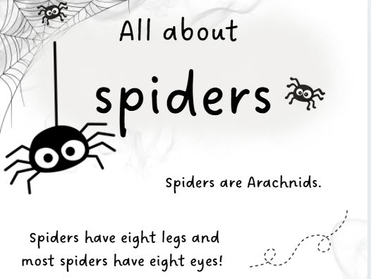 All about spiders