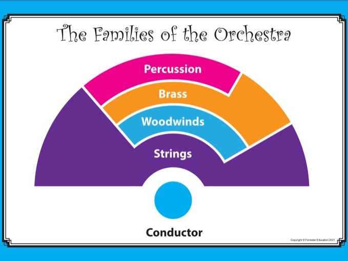 The Layout of the Orchestra