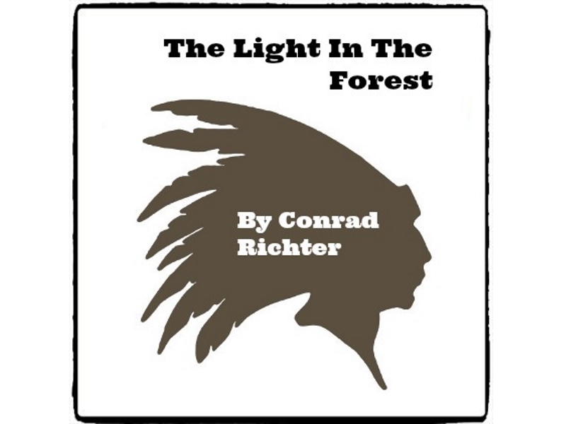 The Light In The Forest (Reed Novel Studies) Teaching Resources
