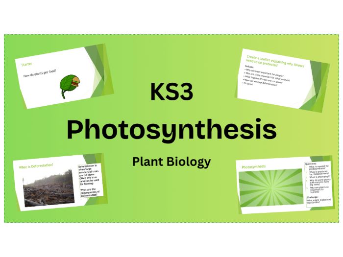 KS3 Photosynthesis PPT with Deforestation task