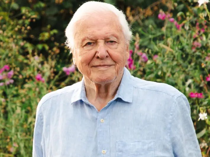 Sir David Attenborough's 100th Birthday - a celebration