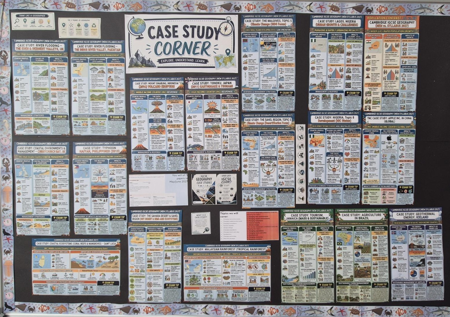 Case Study Corner: Cambridge IGCSE Geography Display Posters | Teaching ...