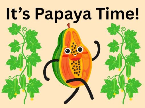 It's Papaya Time!-EYFS/SEN Worksheets
