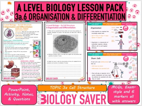 A Level Bio Lesson - 3a.6 Organisation and Differentiation