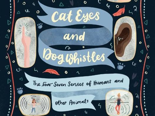 Cat Eyes and Dog Whistles – 8-Session English & PSHE Cross-Curricular Unit
