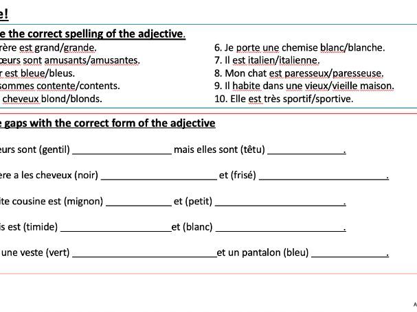 French Adjectives Reference and Practice PPT