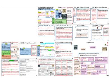 AQA GCSE Sociology - Research Methods - Ethnography