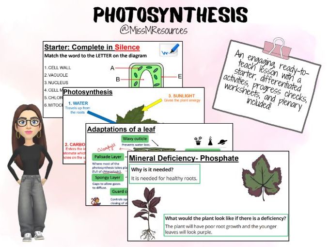 Photosynthesis KS3