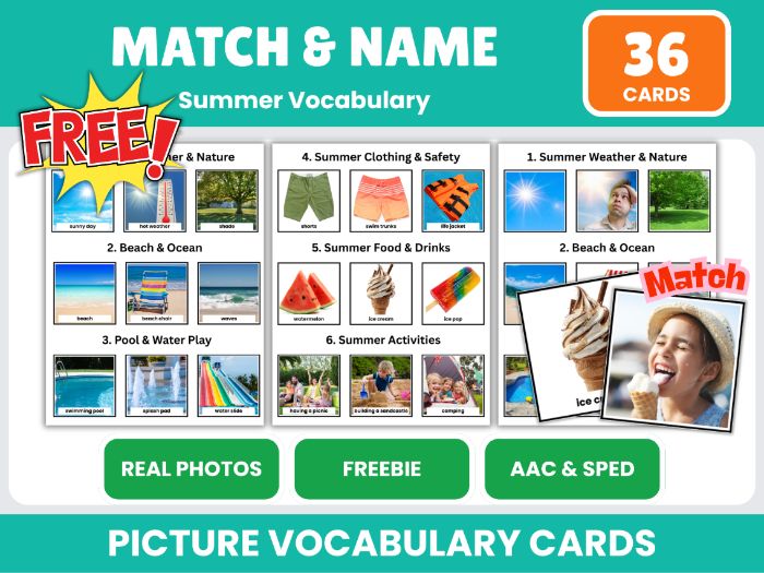 Free Summer Vocabulary Matching Cards