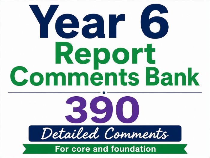 2026 Year 6 Report Comments Bank 390 Detailed Comments