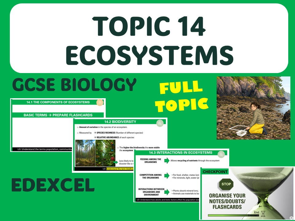 Ecosystems - iGCSE EDEXCEL