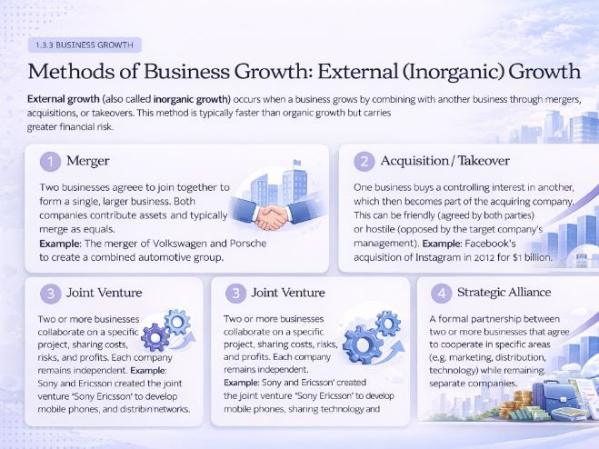 Cambridge iGCSE Business Studies - 1.3 Enterprise, business growth and size