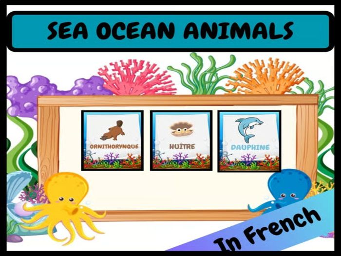 Beginner Ocean Animals Flashcards/ Printable Posters for kids in French