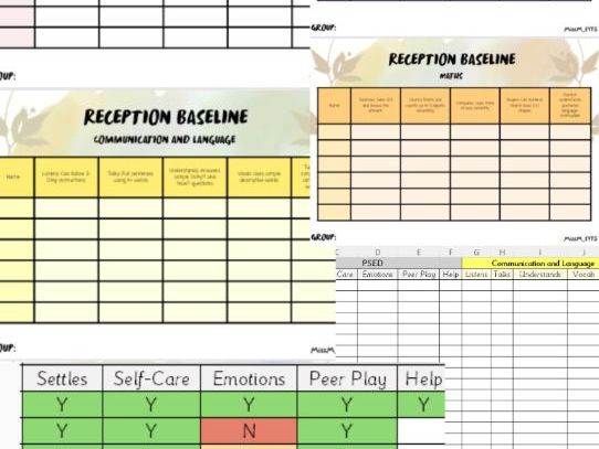 Reception Baseline Assessment and Excel Tracker