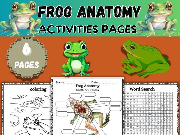 Frog Anatomy Worksheets