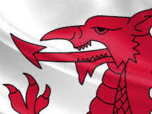 Home Schooling Activity Welsh Language RHANNAU'R CORFF