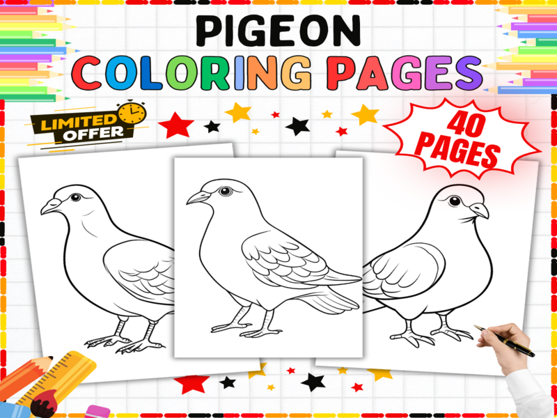 Pigeon Bird Colouring Pages | 40 City Wildlife Worksheets for EYFS & Primary School