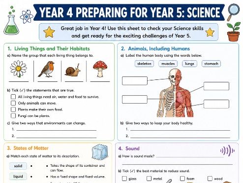 Year 4 to Year 5 Science Transition Worksheet | End of Year Science Revision | Summer Holiday
