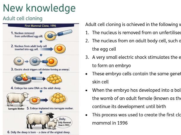Cloning