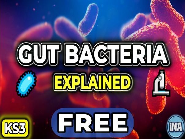 Bacteria in the Digestive System - FREE KS3 Biology Worksheet