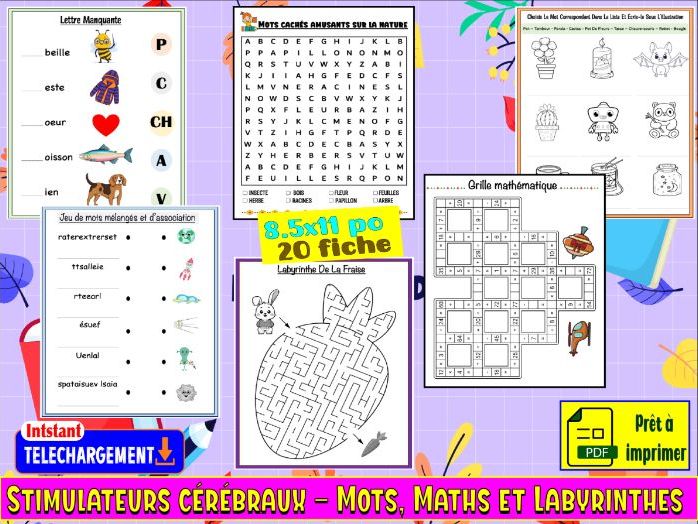 Stimulateurs cérébraux – Mots, Maths et Labyrinthes