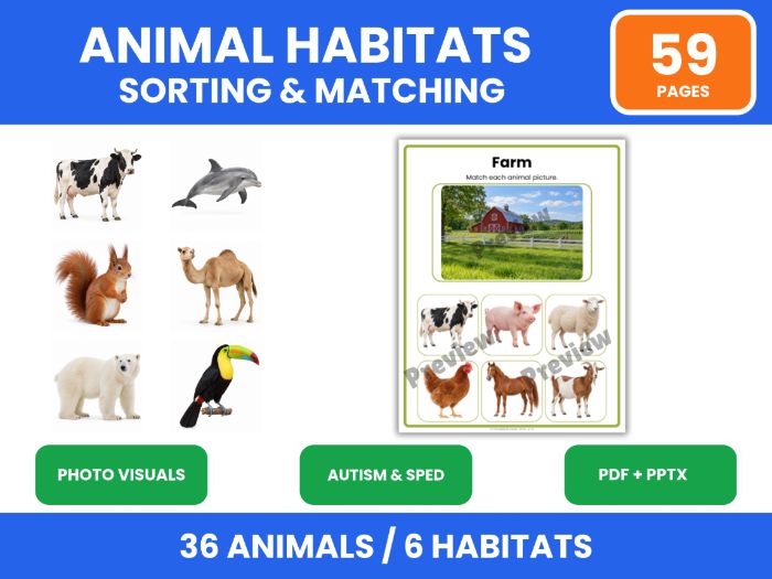 Sort Animals by Habitat: Autism & SEN