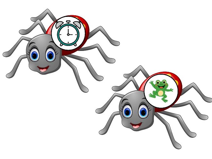 Phase 4 Phonics Spiders – 12 Image Cards with Recording Sheet