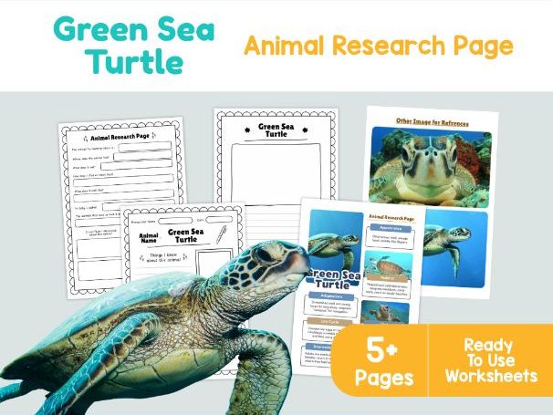 Green Sea Turtle Research Project | Marine Biology Worksheets