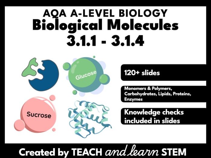 Biological Molecules Part 1 AQA A-level Biology Powerpoint | Carbohydrates | Lipids | Proteins