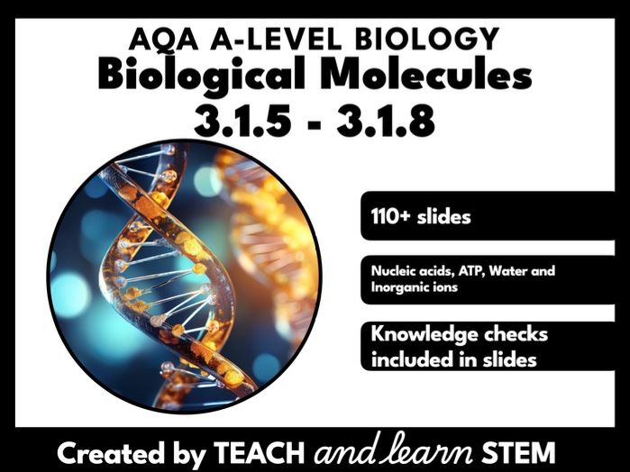 Biological Molecules Part 2 AQA A-level Biology Powerpoint | Nucleic Acids | ATP | Water | Ions