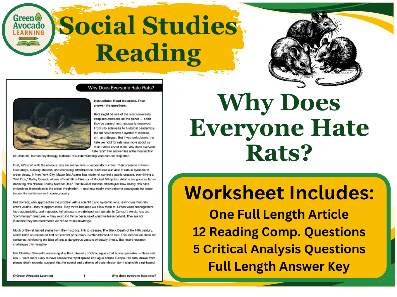 Why Does Everyone Hate Rats?