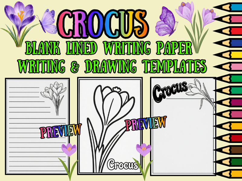 Crocus Flower Coloring Pages & Blank Lined Writing Paper Templates | NO PREP