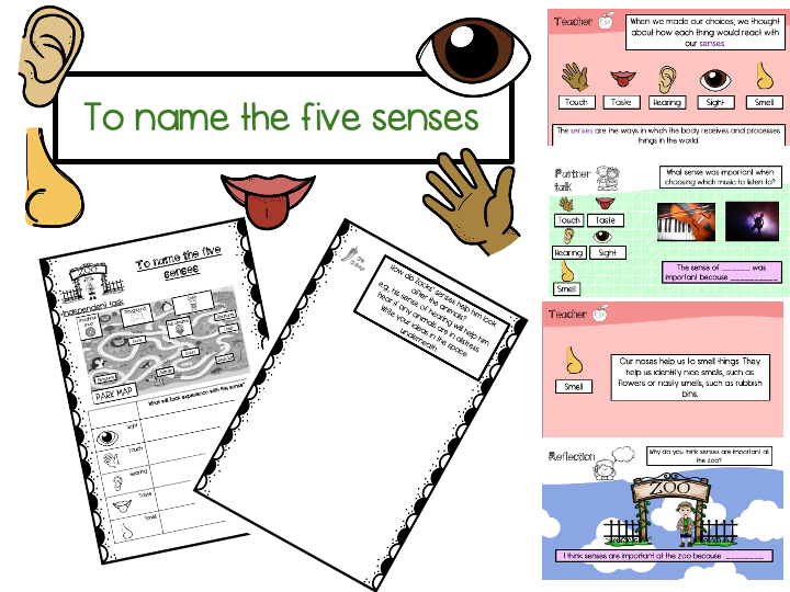 Year 1 To name the five senses