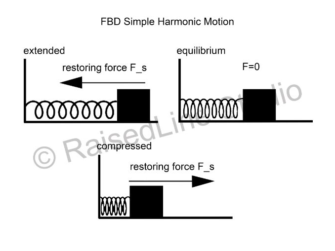 Free Body Diagram | Simple Harmonic Motion | High Contrast | Print and Tactile Physics