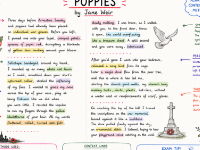 AQA GCSE English Literature: Power and Conflict Poetry Bundle | Complete Revision Posters & Knowledge Organisers