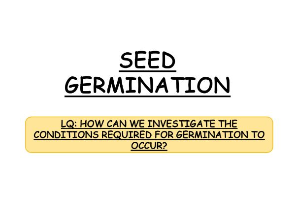 **iGCSE Biology Edexcel - SEED GERMINATION PRACTICAL**