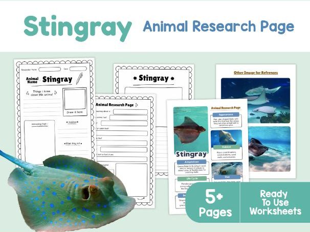Stingray Science Worksheets | Ocean Animals and Camouflage